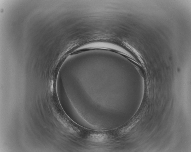 X0000087540067200705041313