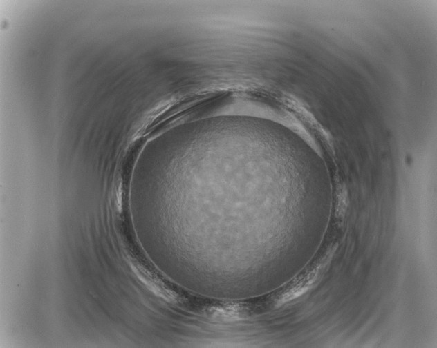 X0000087540068200705041313