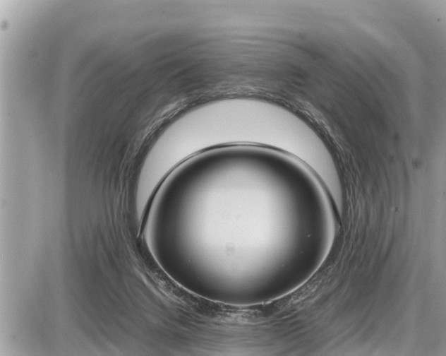 X0000087540072200705041313
