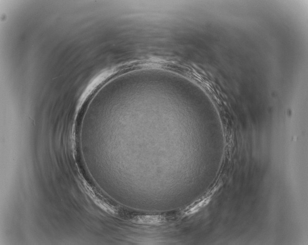 X0000087540102200705041313