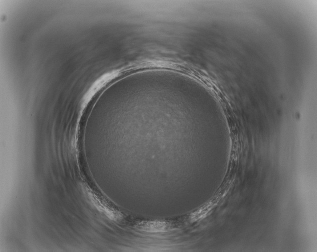 X0000087540104200705041313