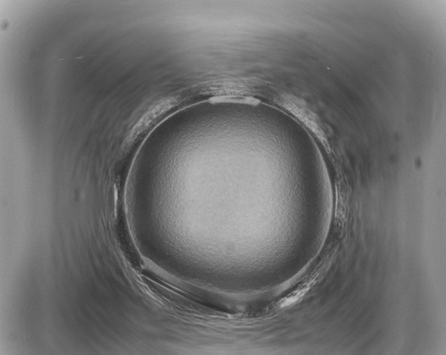 X0000087540109200705041313