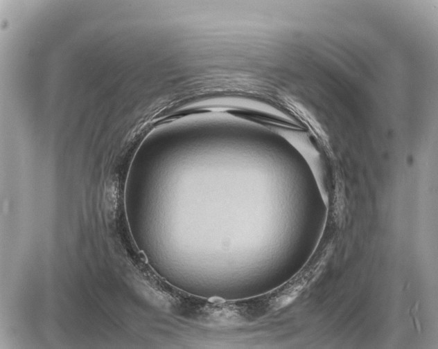 X0000087540113200705041312