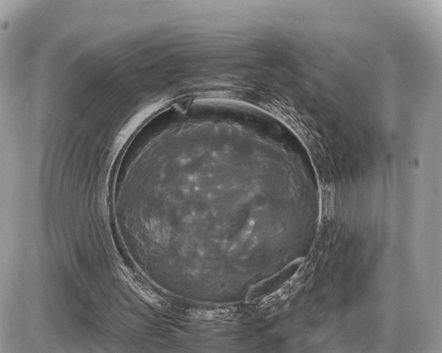 X0000087540147200705041311