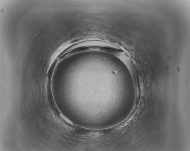 X0000087540152200705041311