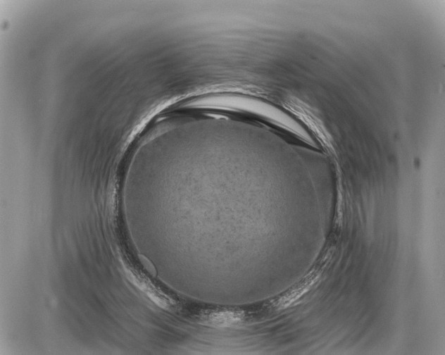 X0000087540156200705041311