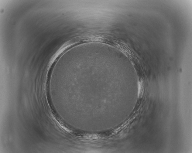 X0000087540195200705041311