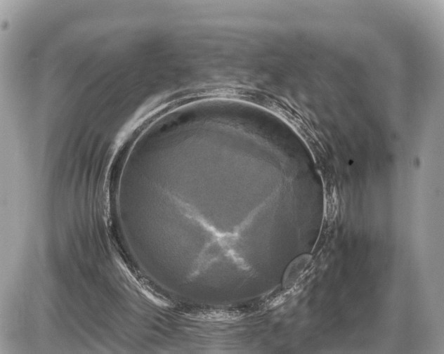 X0000087540198200705041311