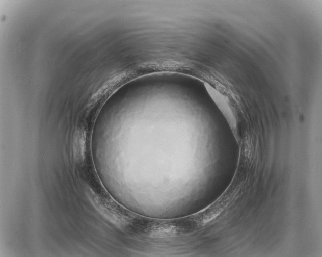 X0000087540206200705041311