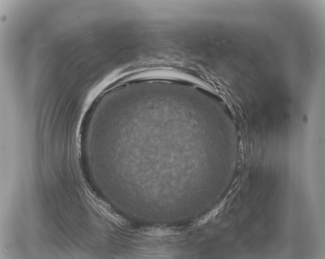 X0000087540246200705041310