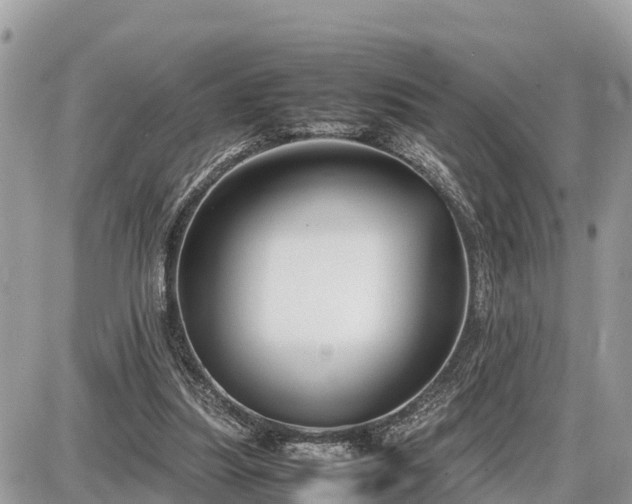 X0000087540251200705041310