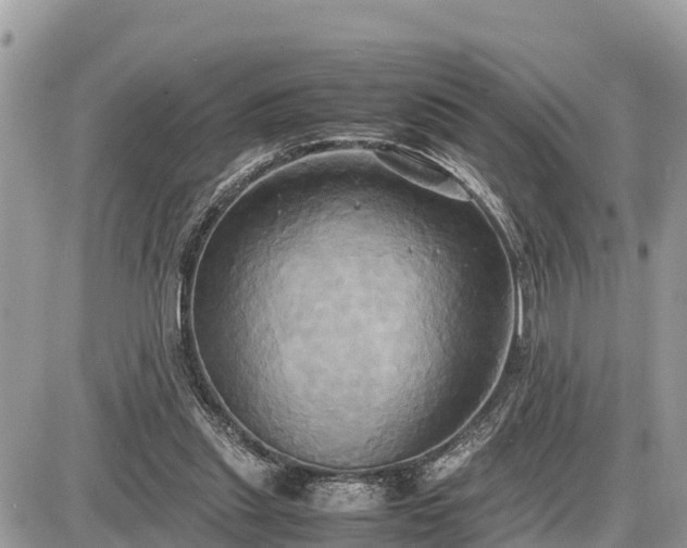 X0000087540253200705041310