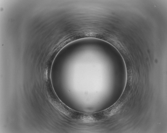 X0000087540262200705041310