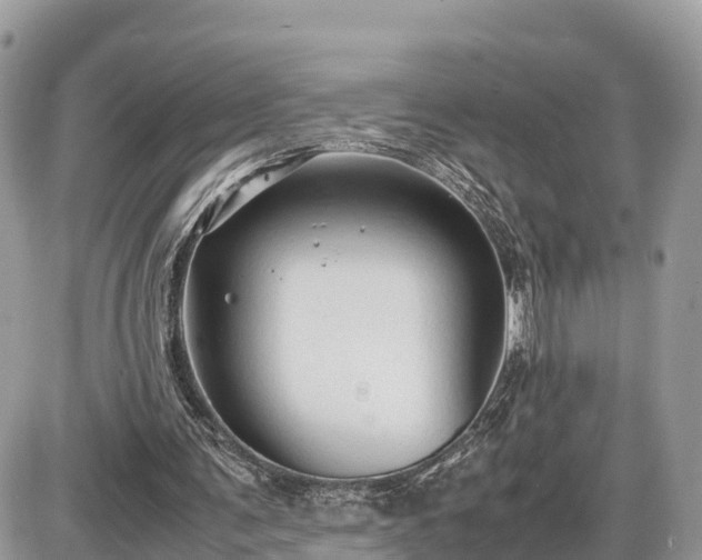 X0000087540291200705041310