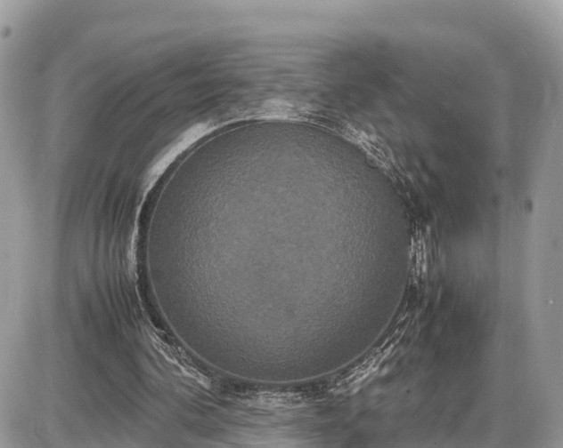 X0000087540292200705041310