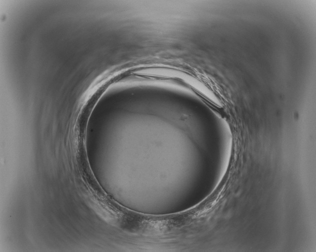 X0000087540295200705041309