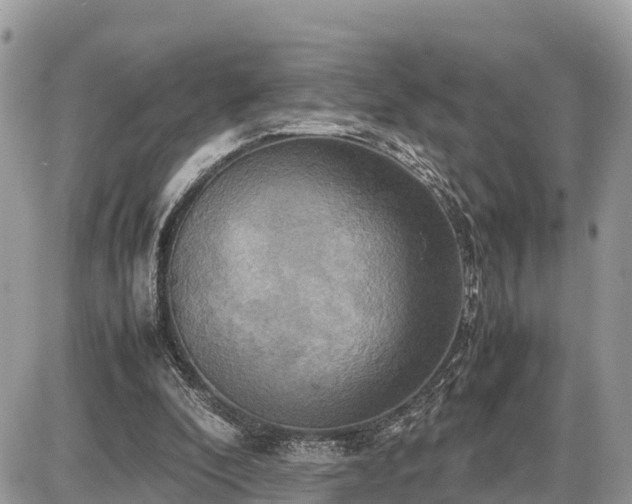 X0000087540296200705041309