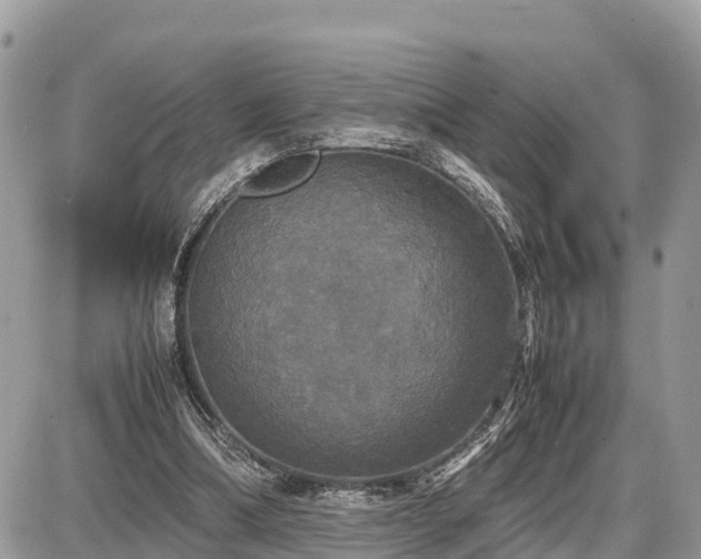 X0000087540298200705041309