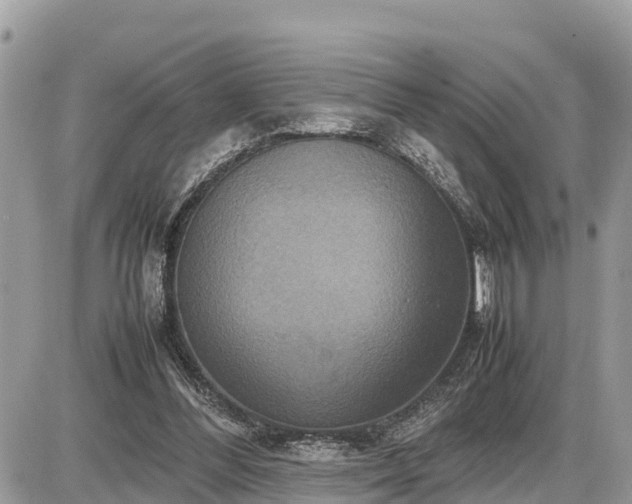 X0000087540300200705041309