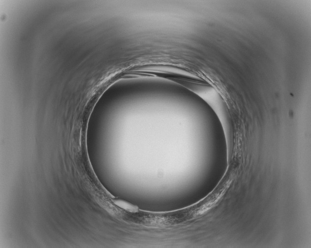 X0000087540301200705041309