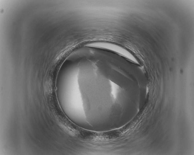 X0000087540303200705041309