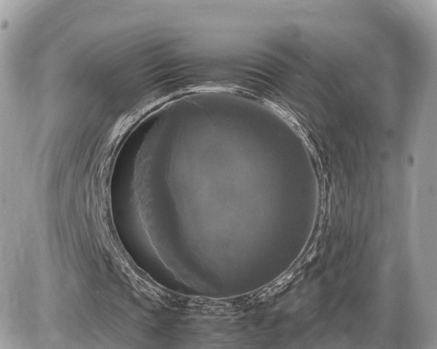 X0000087540337200705041308