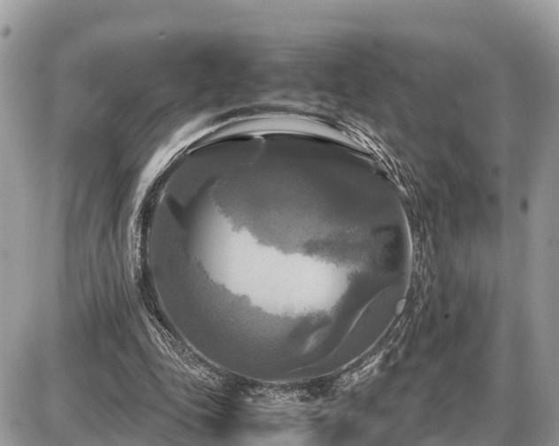X0000087540343200705041308