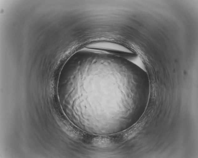 X0000087540354200705041308