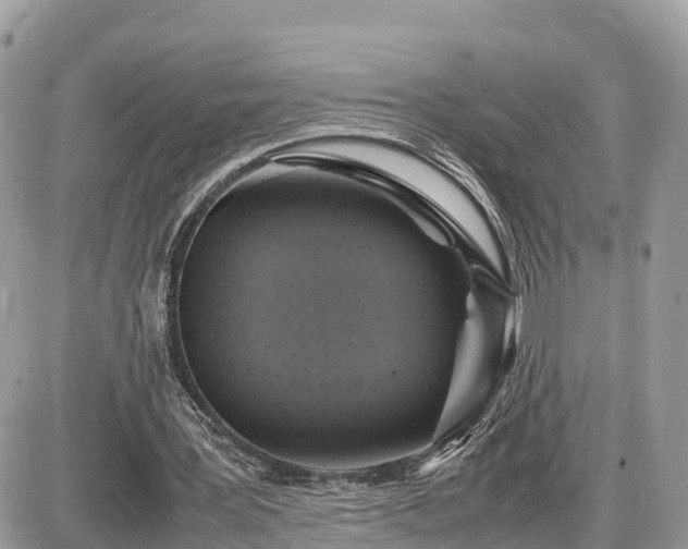 X0000087540387200705041308
