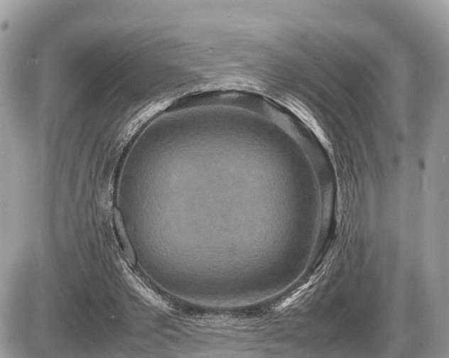 X0000087540389200705041308