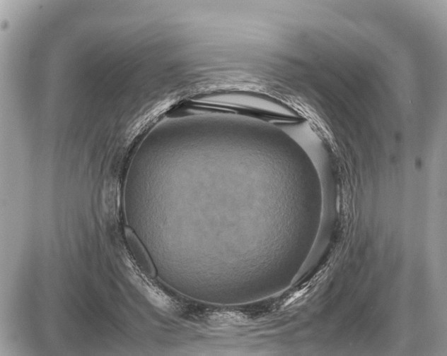 X0000087540397200705041308