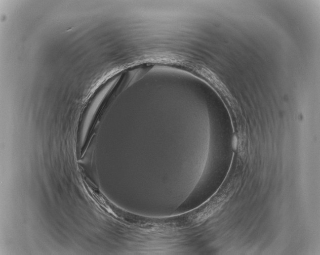 X0000087540434200705041306