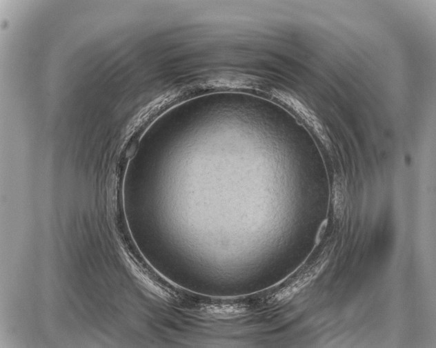 X0000087540445200705041307