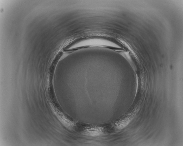 X0000087540447200705041307