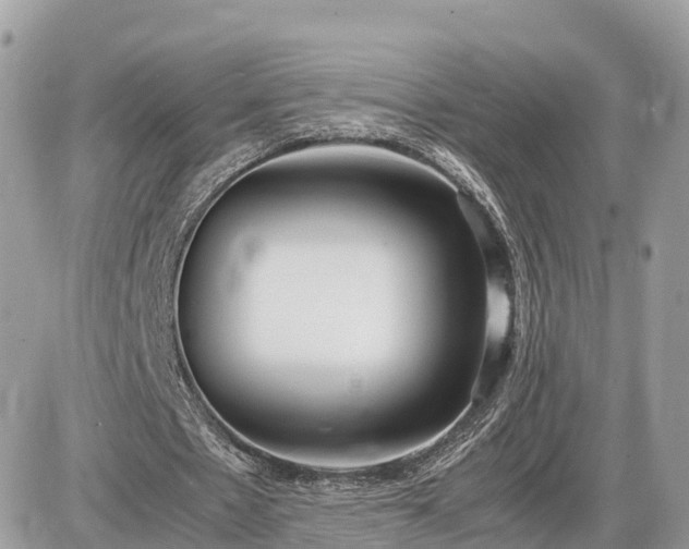 X0000087540481200705041306