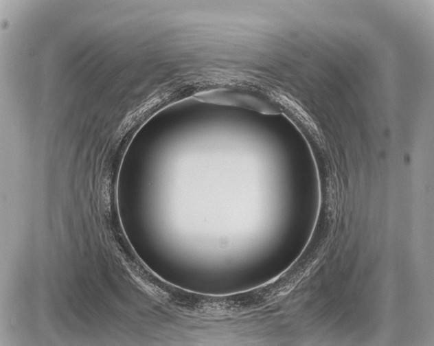 X0000087540489200705041306