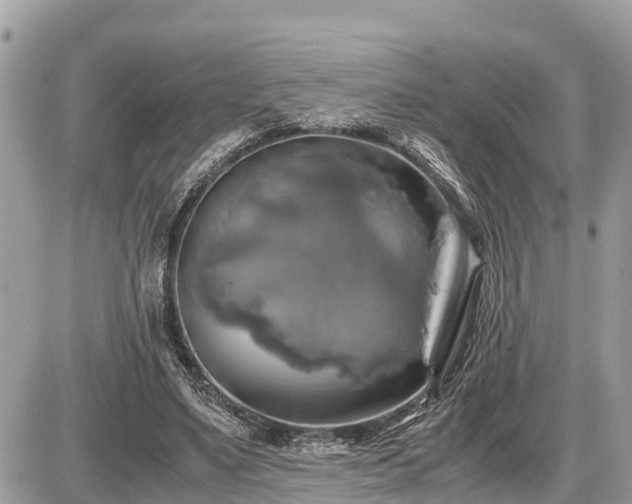 X0000087540491200705041306