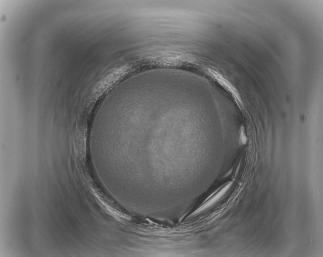 X0000087540493200705041306