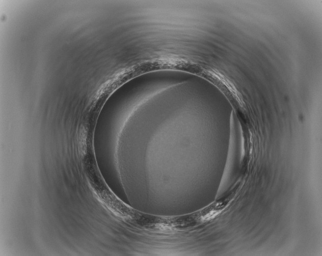 X0000087540496200705041306