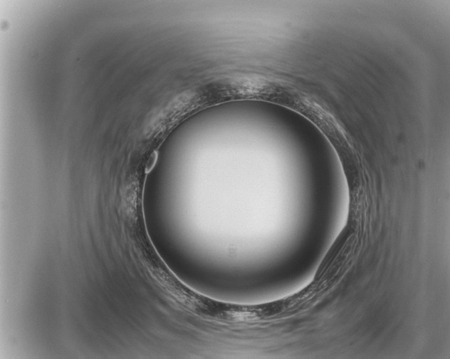 X0000087540509200705041306