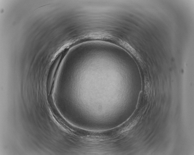 X0000087540530200705041305