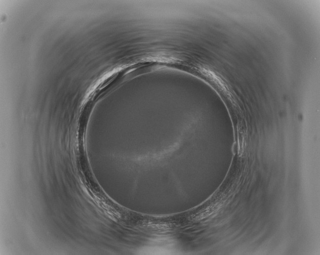 X0000087540531200705041305