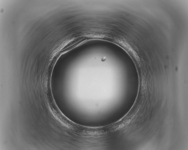 X0000087540533200705041305