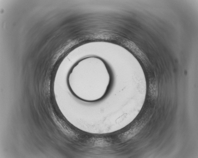 X0000087540534200705041305