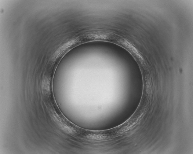 X0000087540537200705041305