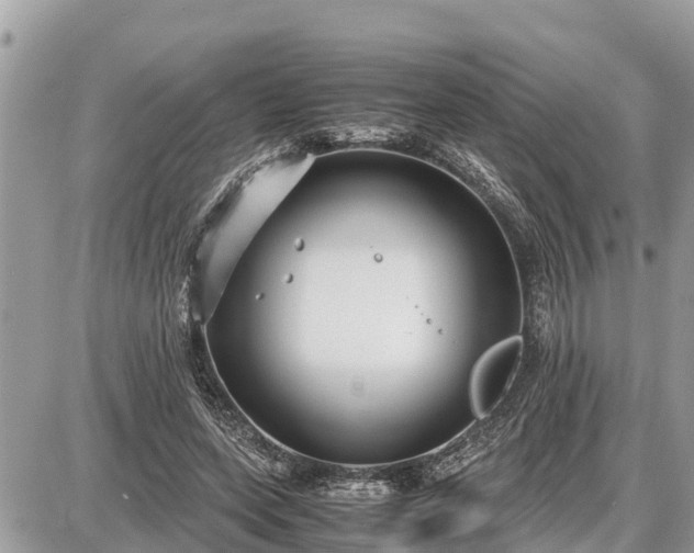 X0000087540543200705041305