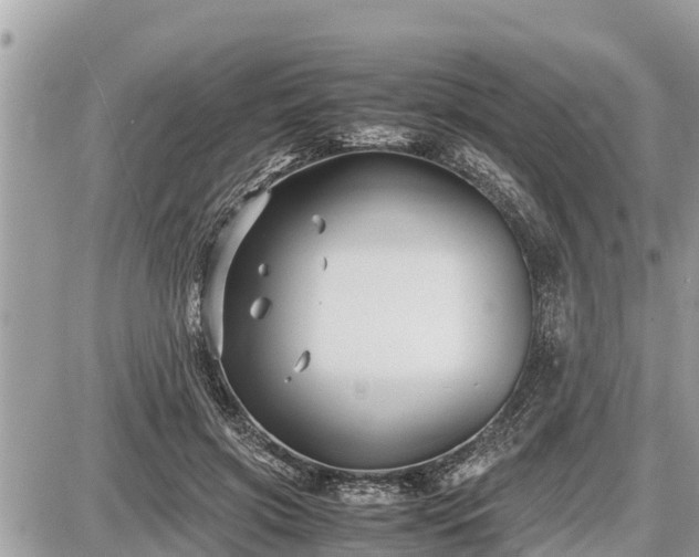 X0000087540549200705041305