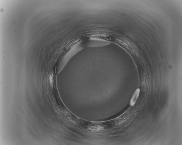 X0000087540551200705041305