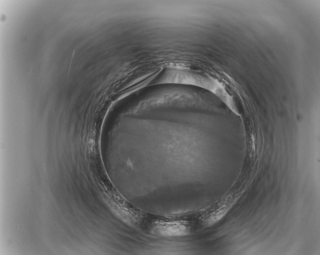 X0000087540553200705041305