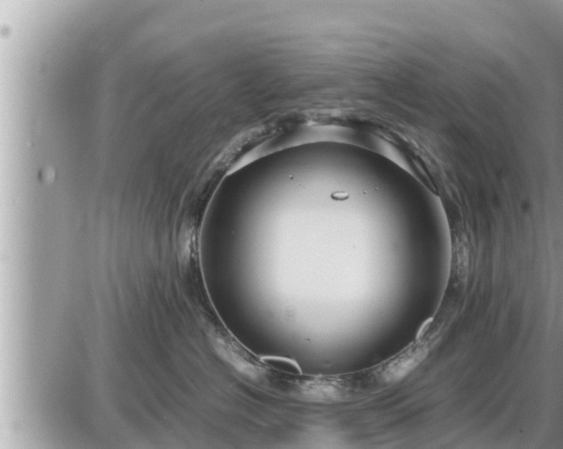 X0000087540574200705041306